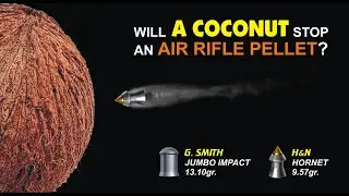 WILL A COCONUT STOP AN AIR RIFLE PELLET? @openfieldtarget