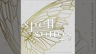 Bird of the Blizzard, from Spell Songs II: Let The Light In