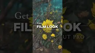 Get Film Look in Capcut Pro 🔥📽️ | DCINEMA | #cinematicedit #capcut