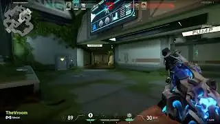 ace with reyna