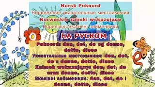 Норвежские указательные местоимения. Указательные местоимения: den, det, de и denne, dette, disse.