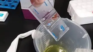 Cleaning Hemacytometer