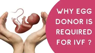 Why egg donor is required for IVF ?  Dr.Manjunath (IVF expert)