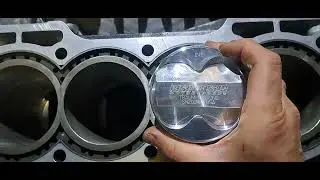 reveal next build  Honda H22 A