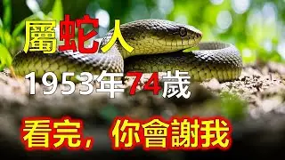1953年屬蛇人，2026年看完，你會謝我#2026蛇#生肖蛇 #1953蛇