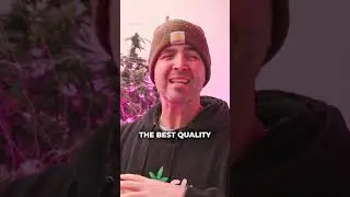 Get The BEST Undercanopy Lights 👉 CRAFTFARMER.COM