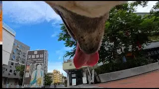 mafei sight world || 吗啡的视界 S1E5