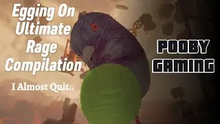 Egging On My Ultimate Rage Compilation
