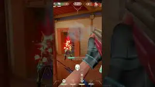 Jett bucky 4k