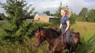 Пять утра.  Полёт нормальный) #horse #horsetraining #horsefriends #horsefun