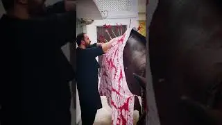 Zuljanah | 10 Muharram 2021 | Syed Sajjad Naqvi #shorts #viral #shortsvideo