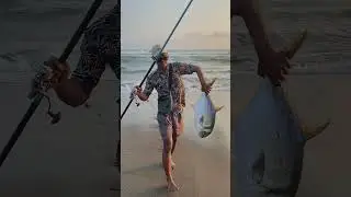 Mancing pasiran dapat ikan gato besar #fishing #pasiran #mancingpasiran #surffishing