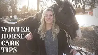 4 Tips for Horse Winter Care