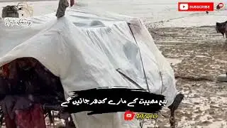 تاجدار حرم ہو نگاہے کرم #statusdaily #islamicstatus