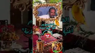 جوهرة 💎 الطرب الفنان بدوي زبير، أغنية 