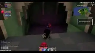 Ruins of Arumi Rogue Solo Raid (Success!) [Cube World]