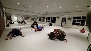 Rollin' Raw Ep. 268 and 269 - Q and Will, Nick and Dan O.