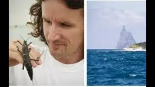 Recent Ocean Discoveries That Could Change History