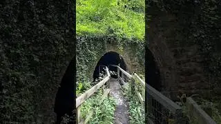 Hobbits would live here! #wales #llangollen #outdoors #countryside #walking #stream #river #railway