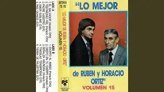 Pies Divinos
