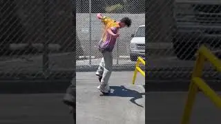 Ollie late mike mo flip!