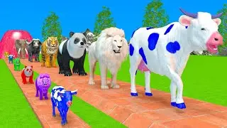 Long Slide Game With Cow Elephant Rat, Tiger - 3d Animal Game - Funny 3d Animals @DonateAnimals