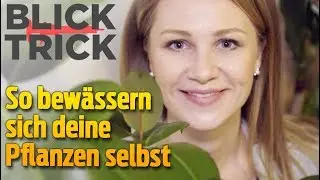 Pflanzen bew&auml;ssern sich selbst &ndash; und &uuml;berleben deine Ferien (Life Hacks) I BLICK-Trick