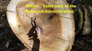 Tree rings and nature hike at Arkabutla #darrellbarnes