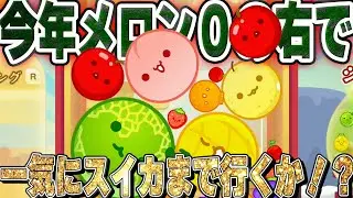 急に来る！？今年メロンすらも到達できなかった右でまさかのスイカ大チャンスが訪れる！【スイカゲーム】【真ん中と端っこに落とし続けてスイカ作るチャレンジ】ー５１３日目ー