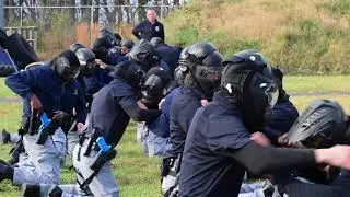 Earning the Badge:   K-9 and Combat