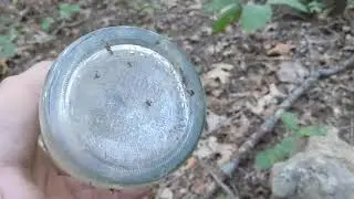 EXPLORING WEIRD PATH TO NOWHERE LONG ISLAND WOODS