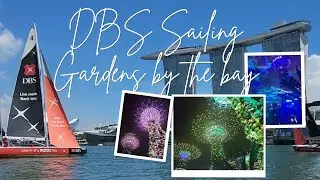 DBS Sailing | Gardens by the Bay light show | Gardens Rhapsody | Malaysia Singapore itinerary |Day 8