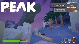 PEAK | Ryzen 3 3250U 12 GB RAM