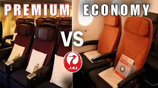 JAL Premium Economy vs Economy &ndash; Is the Upgrade Worth It?