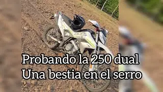 EN VERDAD SIRBE LA CF LITE 250 para el serro 