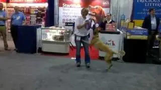 The first dog who liked PULLER at Total Pet Expo 2014 in Chicago