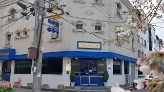 Гостевой дом Blau | Кёнчжу, Южная Корея | Обзор отеля 🏨