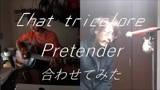 Pretender　Official髭男dism　(cover) -Chat tricolore-