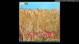 שוב יוצא הזמר - הגבעטרון