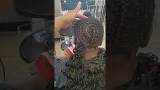 beehive braid down 101 caption.