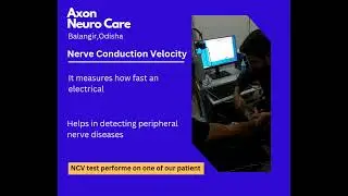 Nerve Conduction  Velocity