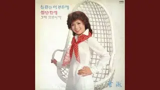 청춘의 꿈