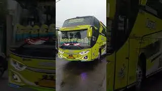 MSM Asyrof (Pinnochio) #basuri #busmania #busbasuri #shorts #short #fy #bus #bustelolet #bismania