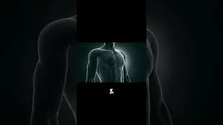 Unlock Your Body's Potential: 5 Motivating Facts About the Human Body #interestingfacts #motivation