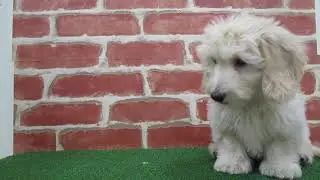 180194動画