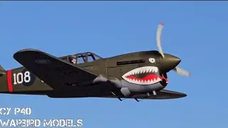 Warbird Models CY P40