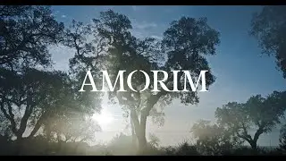 Amorim: 150 Years of History