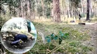 bogensportblog.de - Bogen Biwag Part 1 - Gross Wasserburg - Parcoursvorstellungen 2014