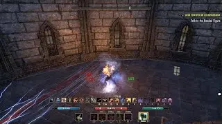 The Elder Scrolls Online: MagSor with not shields in pvp.