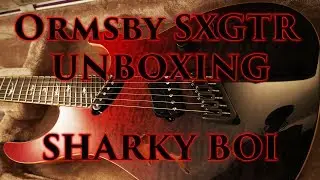 Распаковка и звуковые клипы Ormsby SXGtr